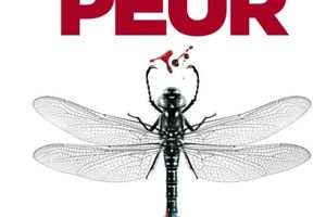 Tu n'auras pas peur, de Michel Moatti