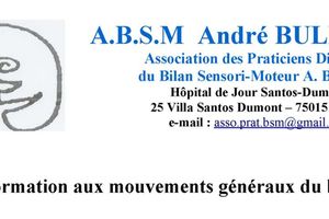 Formation aux mouvements généraux du bébé - 30 novembre - 1er décembre 2017