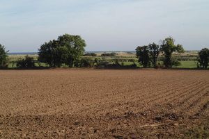 Retour en Normandie, chapitre 17
