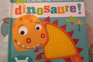 Il ne faut pas toucher un dinosaure - 1 2 3 soleil