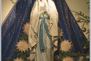 Medjugorje: Message du mois à Marija de Notre Dame de la Paix (Notre Gospa) du 25 Janvier 2017