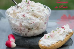 Tartinade de radis