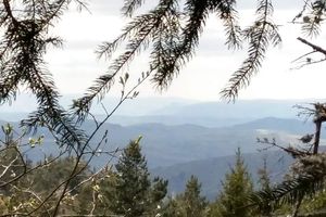Cartes postales de Lozère