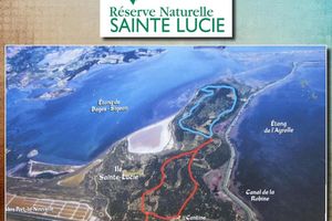 Réserve naturelle Ile Sainte Lucie...