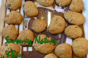 Recette Salon Terre Naturelle 2016: Cookies sans gluten