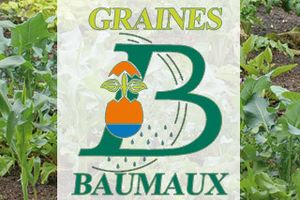 Comment apparait une nouvelle variété de haricot ?