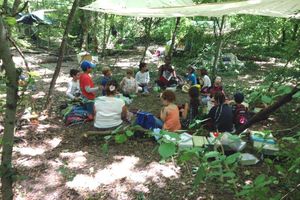 Les vacances d'Ariane" Centres aérés en forêt - Été 2017