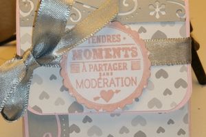 Mini-album mardi A-P 13/12 et jeudi S 15/12/16