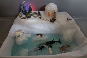 Le monde arctique