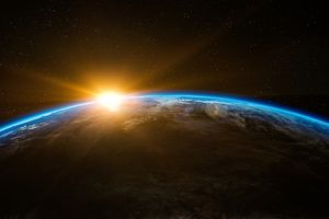 Les racines de l'écologie