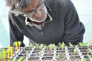 Le combat tranquille d’un paysan pour la liberté des semences