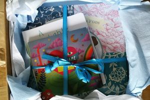 Pack personnalisé CD et livre par les Enfants Roy
