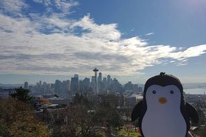 Le Pingouin à Seattle !!