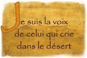 Homélie du 5ème dimanche de l'Avent: La voix dans le désert (2016)