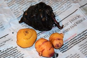 Où acheter des légumes rares sur le web ?