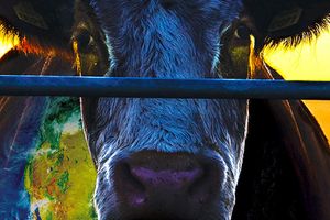 Cowspiracy : The Sustainability Secret