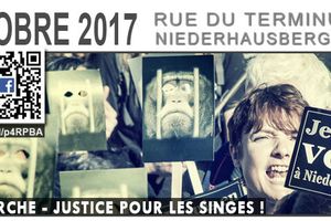 Nouvelle marche contre le centre de primatologie