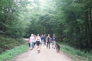 12ème Rando Canine Chailles : le 13/08/2017