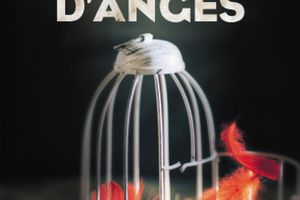 Dompteur d'anges