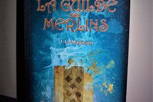La guilde des Merlins "Tome I - Le Magicien"