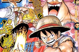 One Piece Chapitre 858 FR