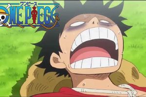 ONE PIECE EPISODE 784 VOSTFR HD