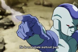 DRAGON BALL SUPER 107 VOSTFR HD
