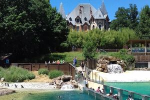 Le Safari de Peaugres, une belle visite pas bête! {+Concours!}