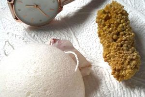Zoom sur l'éponge Konjac.