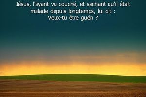 Veux-tu être guéri ?