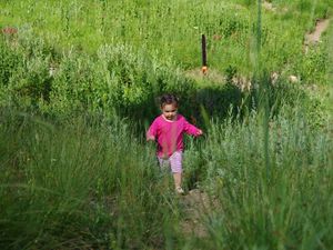 Abkühlung gesucht...