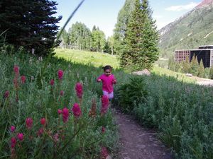 Abkühlung gesucht...