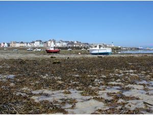305 - Rencontres bateaux 20ème, Ile de Sein, balade sur l'île, voiliers en escale, goémoniers Christelle-Mikael, Mylène, L'Estran, Ligneur Ar-Flanmen, Solweig, Leenan Head, L'Elfe, Ovnis Suza'na, Skreo, RM 1200, biquille 1050,  Alkyone, La Recouvrance, Photos GeoMar
