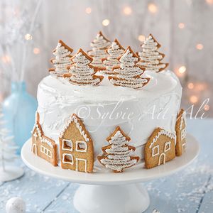 Village sous la neige et Cadeau