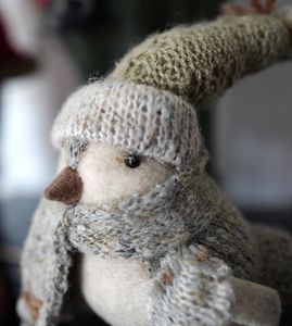 petit oiseau qui a froid 