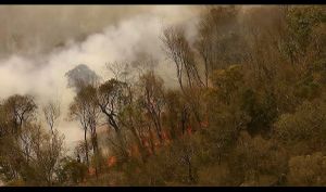 Rado Andriamanantena Agir avec Madagascar