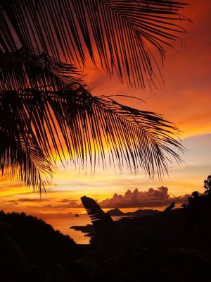Trace du Morne Gommier