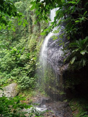 Cascade Couleuvre