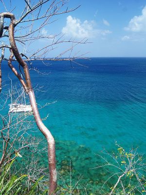 Anse à l'Âne - Anse Noire