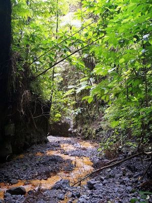 Sources chaudes de la Pelée