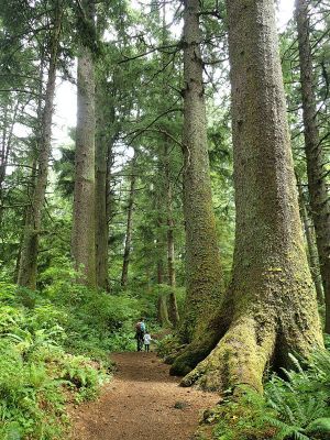 Oregon Coast