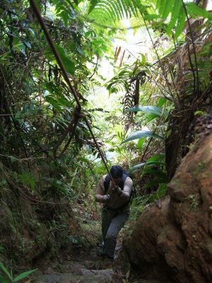 Pitons du Carbet