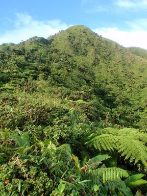 Pitons du Carbet