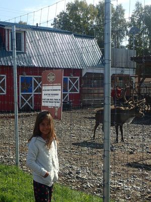 Alaska : Fairbanks et le Denali