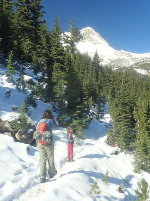 Mt Hood
