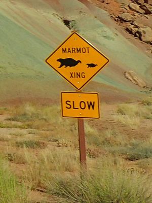Capitol Reef