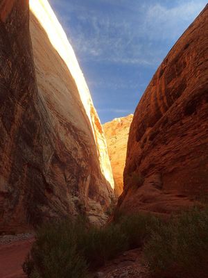 Capitol Reef