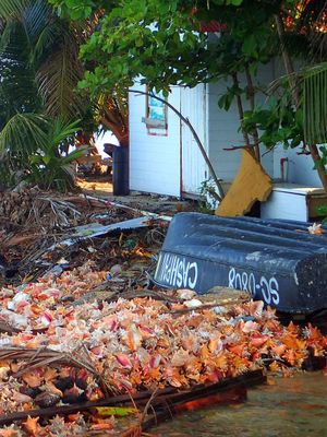 Tobacco Caye