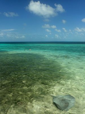 Tobacco Caye