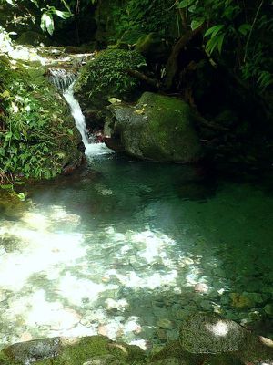 Rivière Dumauzé (Bassin Bleu)